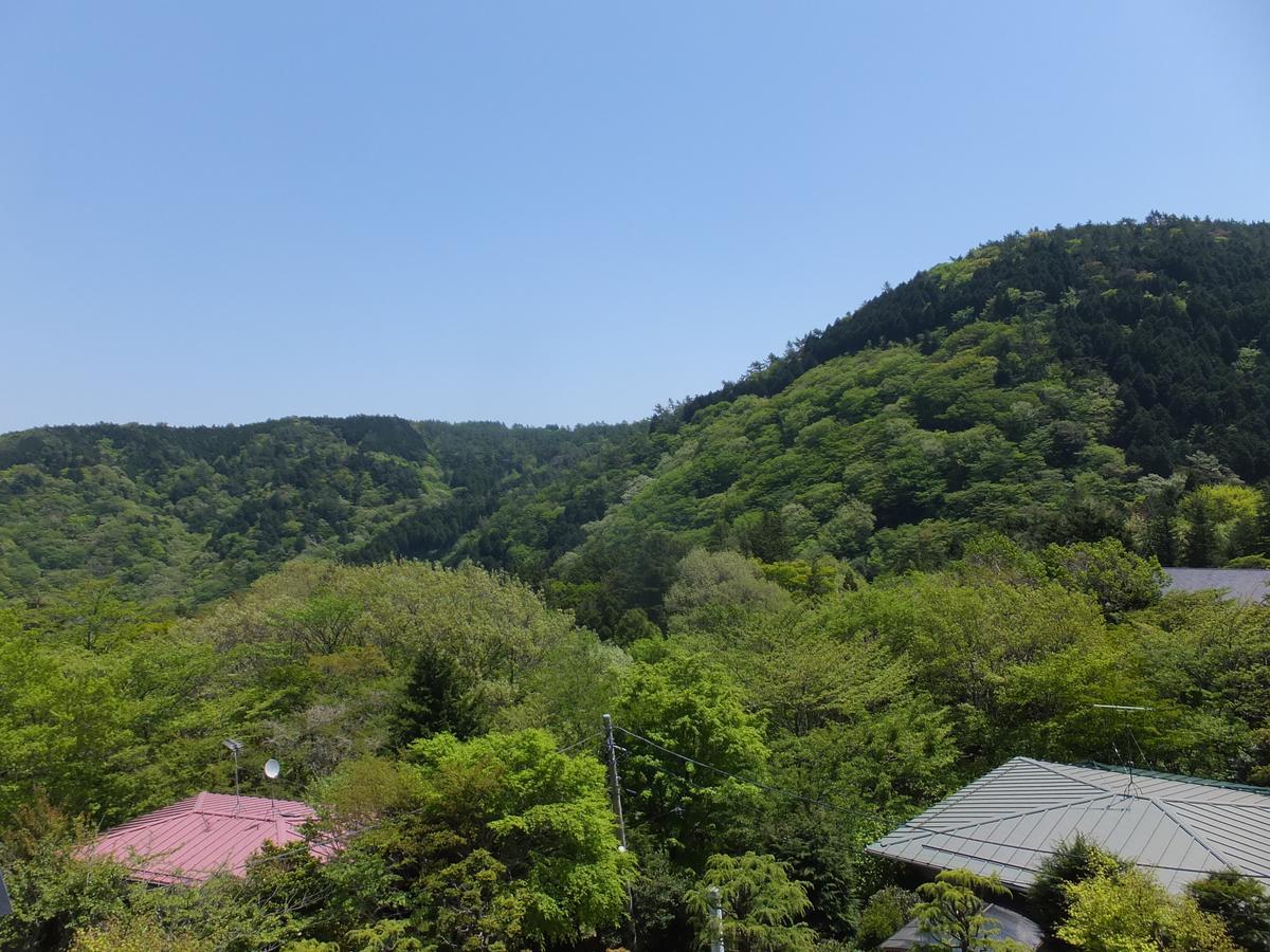 Hakone Kousano Mori Bagian luar foto